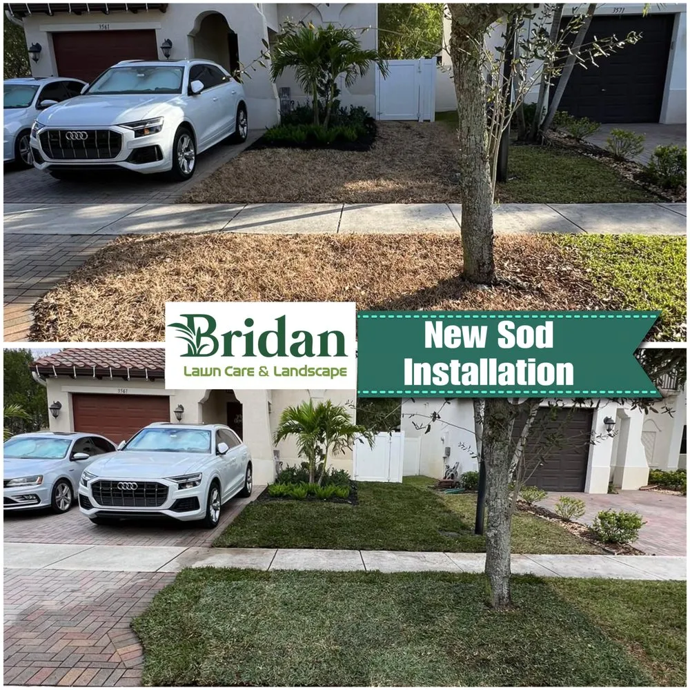 Local landscape design for homes across Davie, FL - Bridan Lawn Care & Landscape
