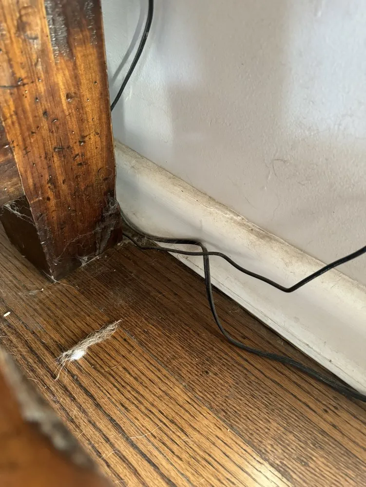 Reliable lawn mowing service for residential properties across Louisville, KY - Bride & Broom Cleaning Services