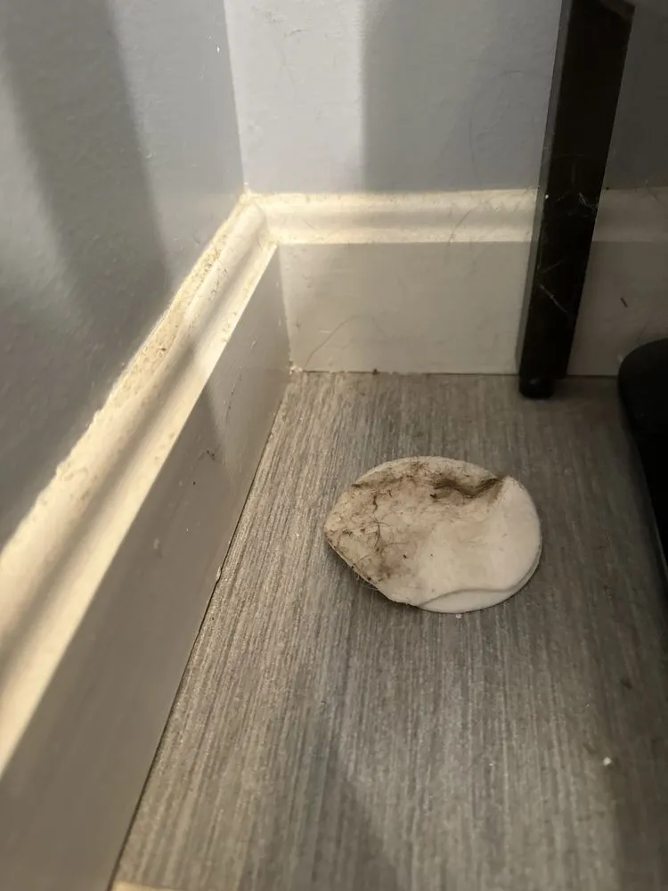 Professional lawn mowing service for outdoor upgrades in Louisville, KY by Bride & Broom Cleaning Services