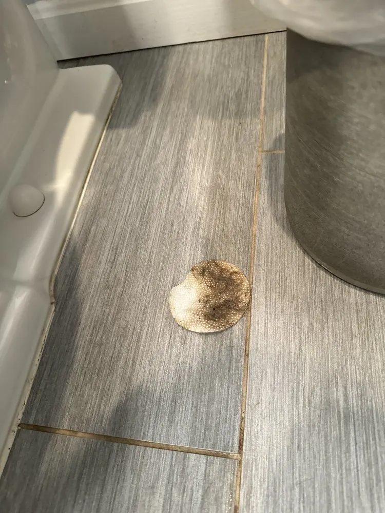 Trusted outdoor landscaping for year-round maintenance across Louisville, KY - Bride & Broom Cleaning Services