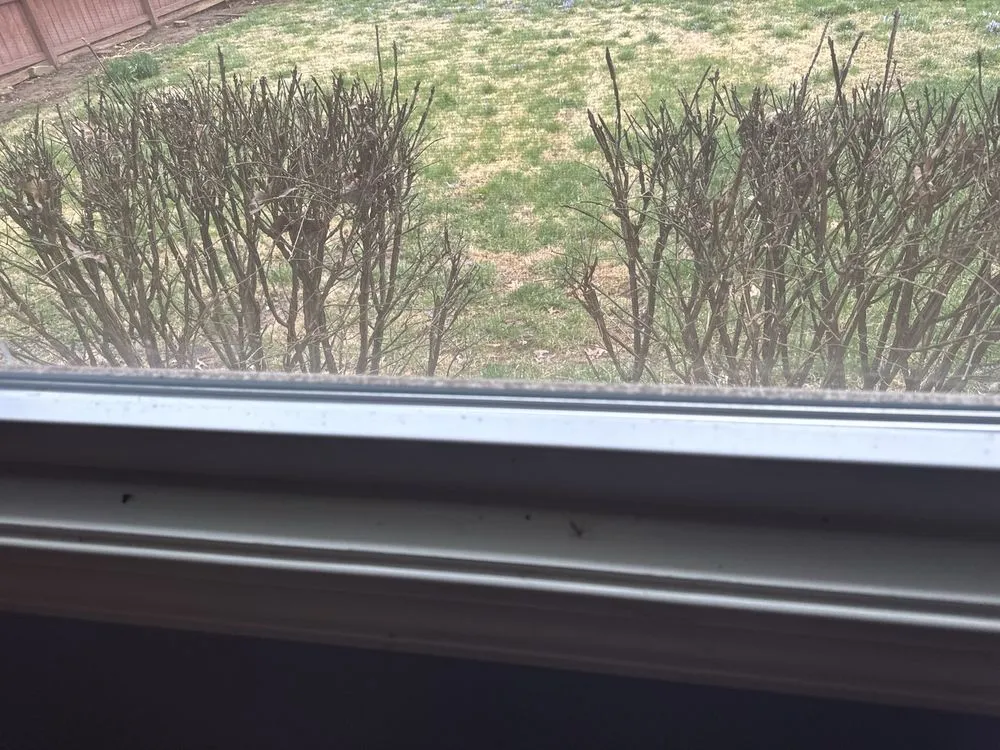 Affordable garden landscaping in Louisville, KY by Bride & Broom Cleaning Services