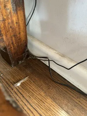 Bride & Broom Cleaning Services Logo