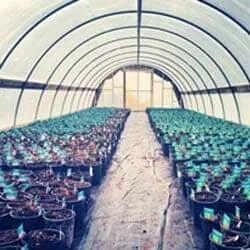 Local yard cleanup service in Cranston, RI - Briden Nursery