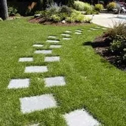 Expert lawn care service experts serving Cranston, RI - Briden Nursery