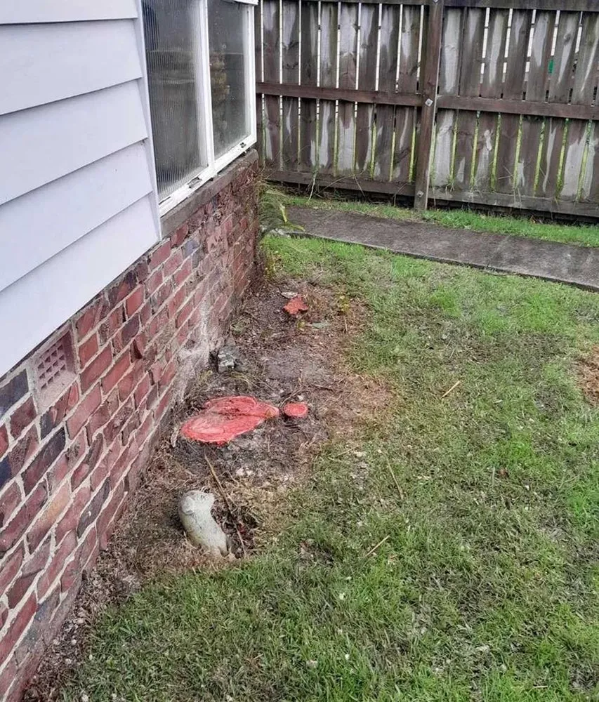 Trusted lawn mowing service experts serving Philadelphia, PA - Bridesburg Lawn Care