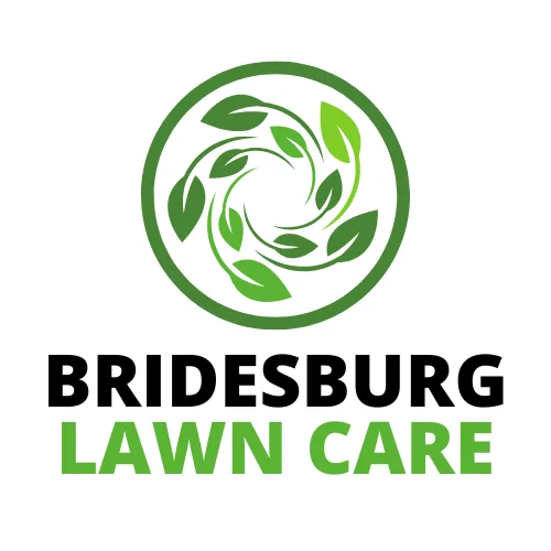Top-rated lawn care service for outdoor upgrades in Philadelphia, PA by Bridesburg Lawn Care