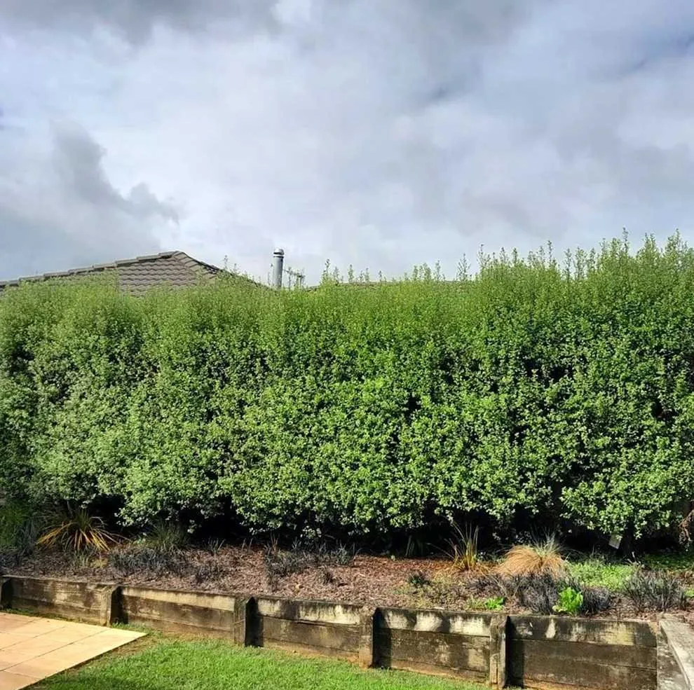 Expert landscape design in Philadelphia, PA - Bridesburg Lawn Care