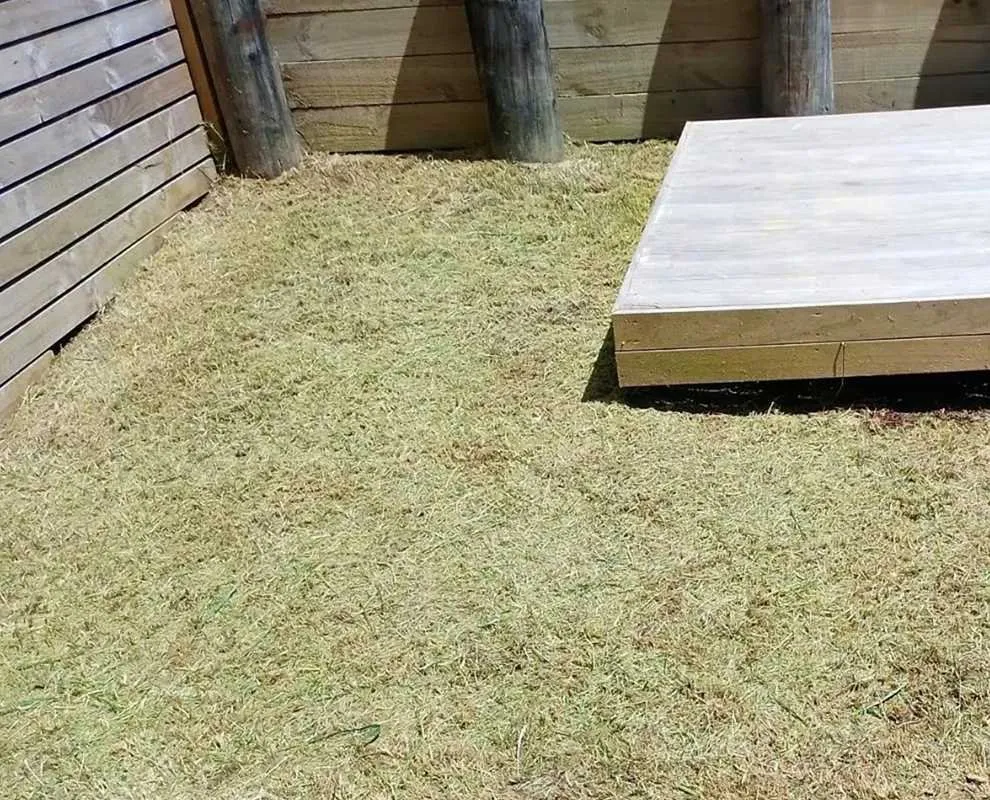 Trusted lawn care service for outdoor upgrades in Philadelphia, PA by Bridesburg Lawn Care