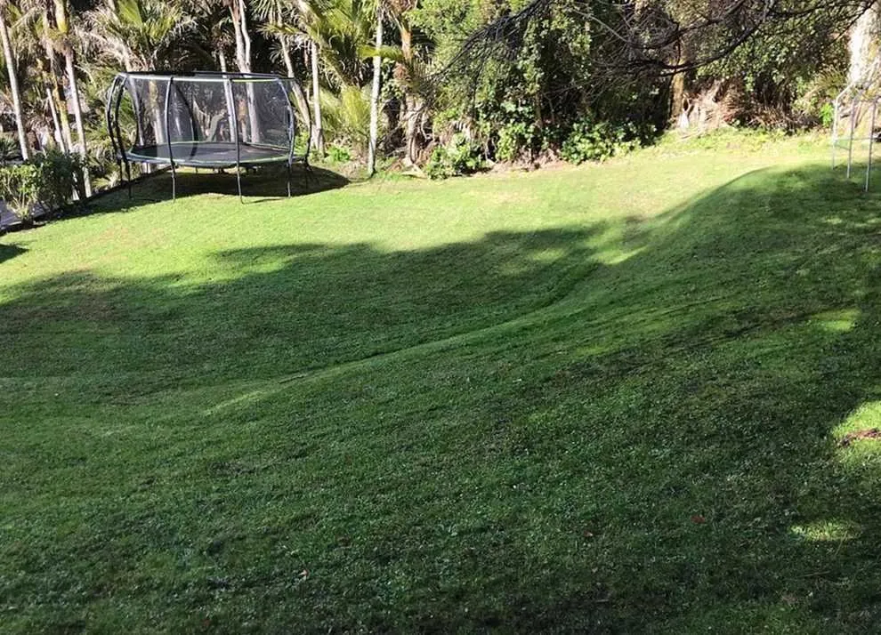 Local landscaping services for beautiful yards in Philadelphia, PA by Bridesburg Lawn Care