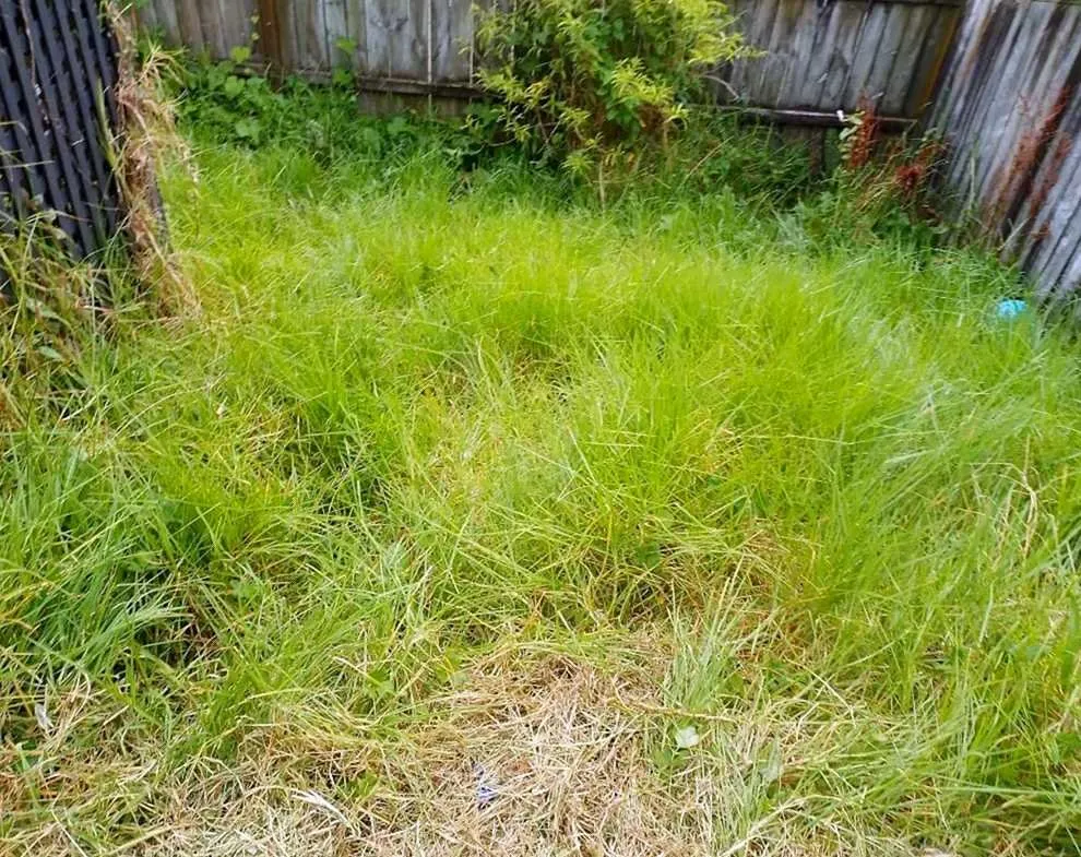 Local residential landscaping in Philadelphia, PA by Bridesburg Lawn Care