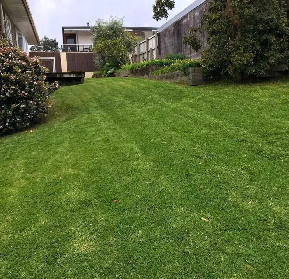 Professional yard cleanup service for outdoor upgrades across Philadelphia, PA - Bridesburg Lawn Care