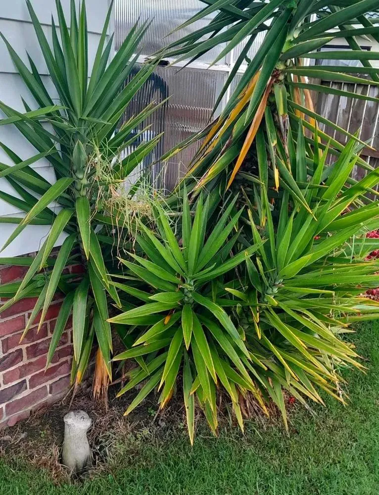 Affordable garden landscaping in Philadelphia, PA by Bridesburg Lawn Care