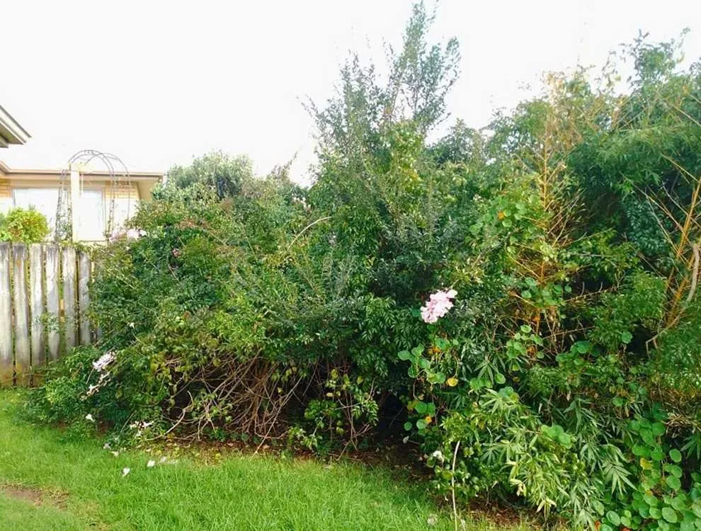 Reliable yard cleanup service for residential properties across Philadelphia, PA - Bridesburg Lawn Care