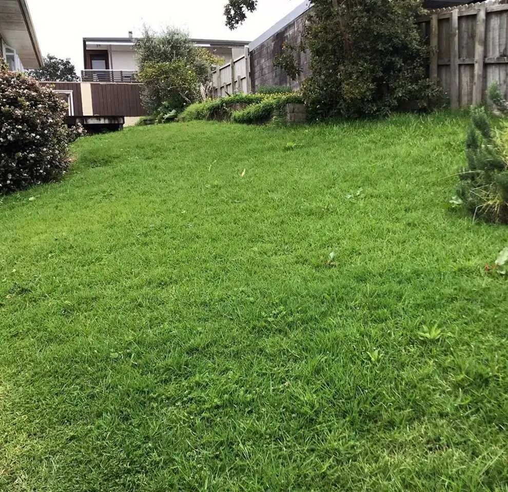 Professional landscape design in Philadelphia, PA by Bridesburg Lawn Care