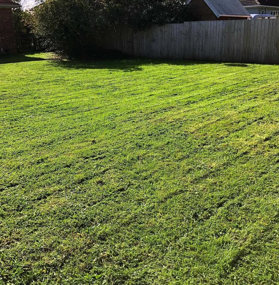 Reliable lawn care service experts serving Philadelphia, PA - Bridesburg Lawn Care