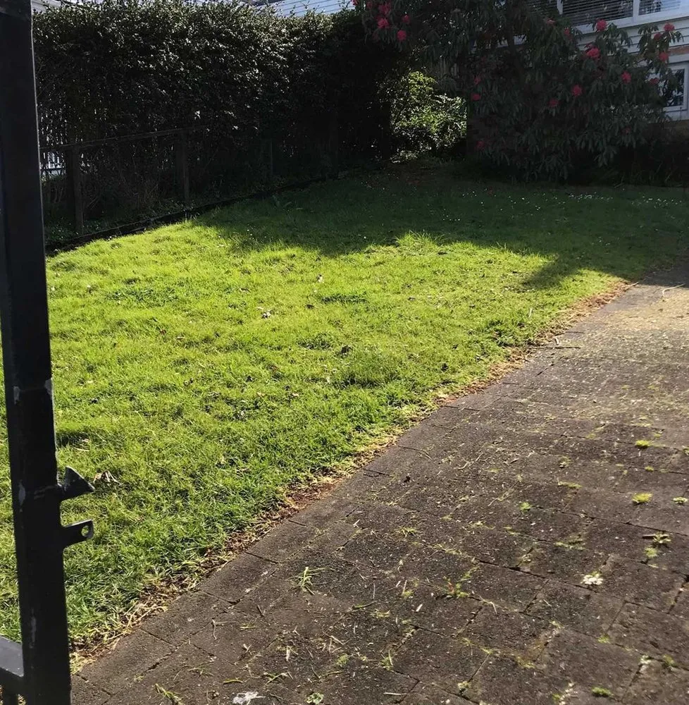 Reliable lawn mowing service in Philadelphia, PA - Bridesburg Lawn Care