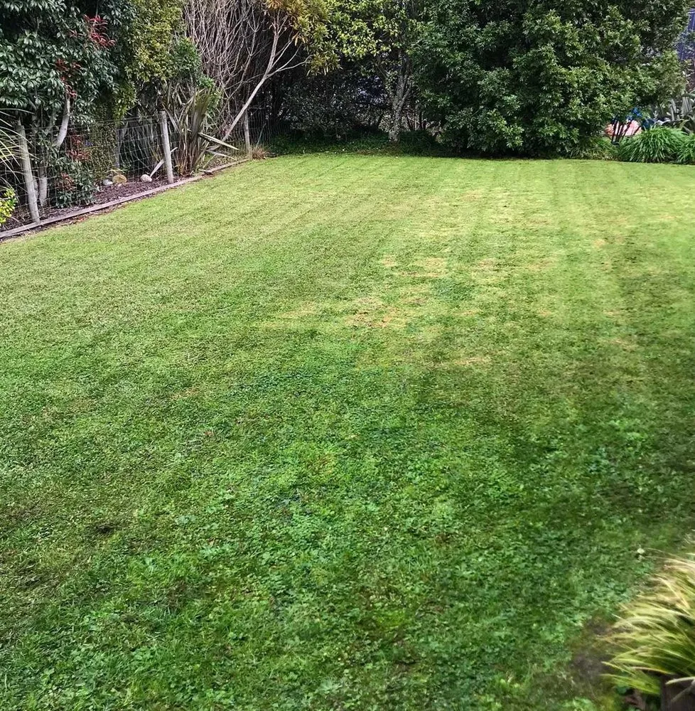 Professional garden landscaping with custom design across Philadelphia, PA - Bridesburg Lawn Care