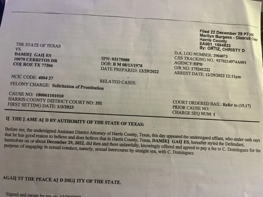 Expert yard maintenance for year-round maintenance across Houston, TX - Bridge Point Services