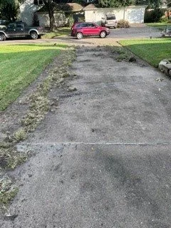 Custom landscape design experts serving Houston, TX - Bridge Point Services