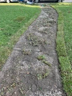 Reliable landscape design in Houston, TX by Bridge Point Services