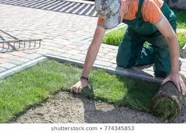 Affordable landscape design experts serving Houston, TX - Bridge Point Services