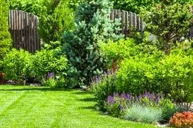 Top-rated outdoor landscaping experts serving Houston, TX - Bridge Point Services