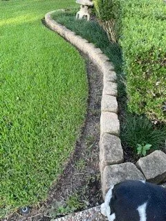 Reliable landscape design experts serving Houston, TX - Bridge Point Services