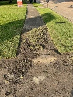 Trusted yard maintenance experts serving Houston, TX - Bridge Point Services