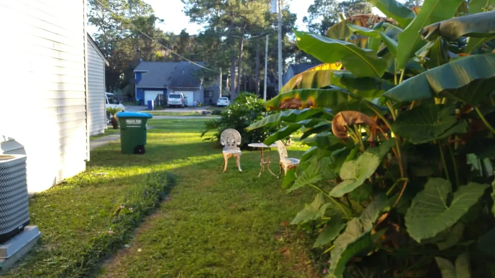 Expert lawn care service near you in Panama City Beach, FL by Bridge To Bridge Lawn Care