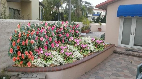 Custom landscaping services experts serving Orange, CA - BridgeCreek Landscape
