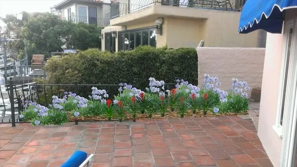 Affordable garden landscaping for residential properties in Orange, CA by BridgeCreek Landscape
