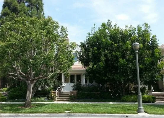 Reliable outdoor landscaping with custom design in Orange, CA by BridgeCreek Landscape