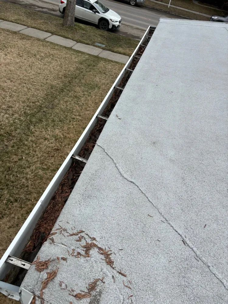 Affordable yard maintenance in Bozeman, MT by Bridger Industries