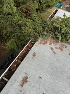 Professional outdoor landscaping near you across Bozeman, MT - Bridger Industries