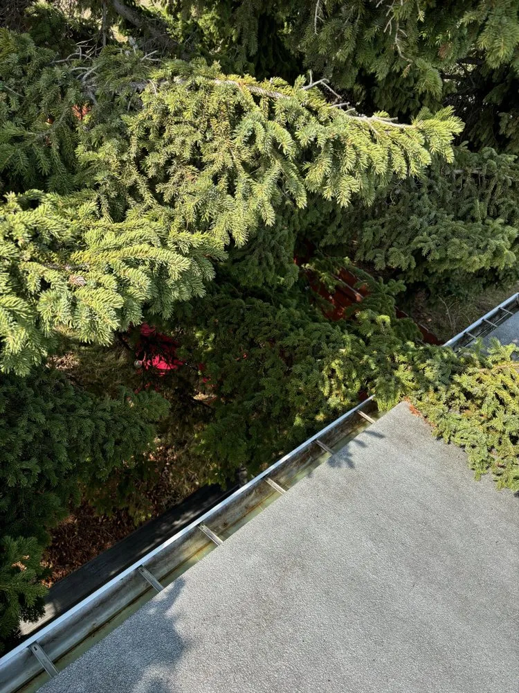 Professional lawn mowing service experts serving Bozeman, MT - Bridger Industries