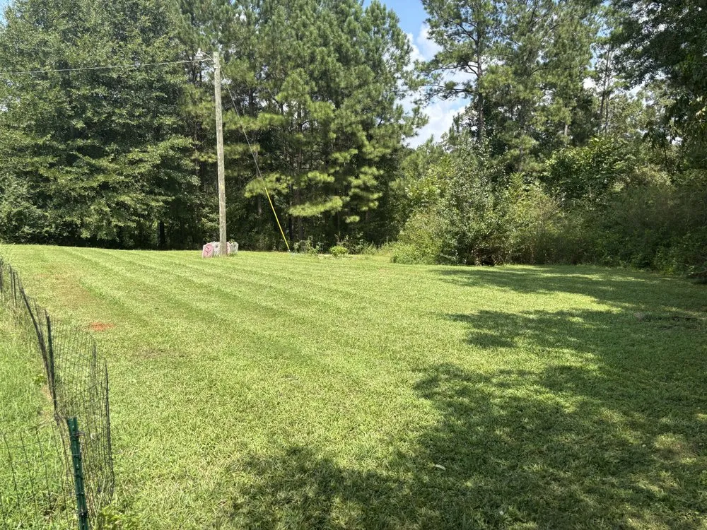 Trusted lawn mowing service for year-round maintenance in Newnan, GA by Bridges & Carlton Lawn Care