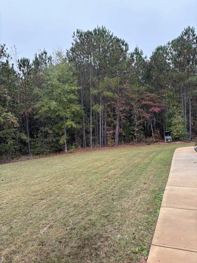 Expert garden landscaping for outdoor upgrades across Newnan, GA - Bridges & Carlton Lawn Care