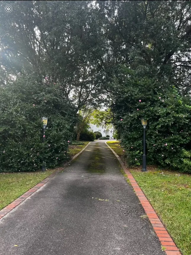 Expert lawn mowing service in Florence, SC - Bridges Carolina Services