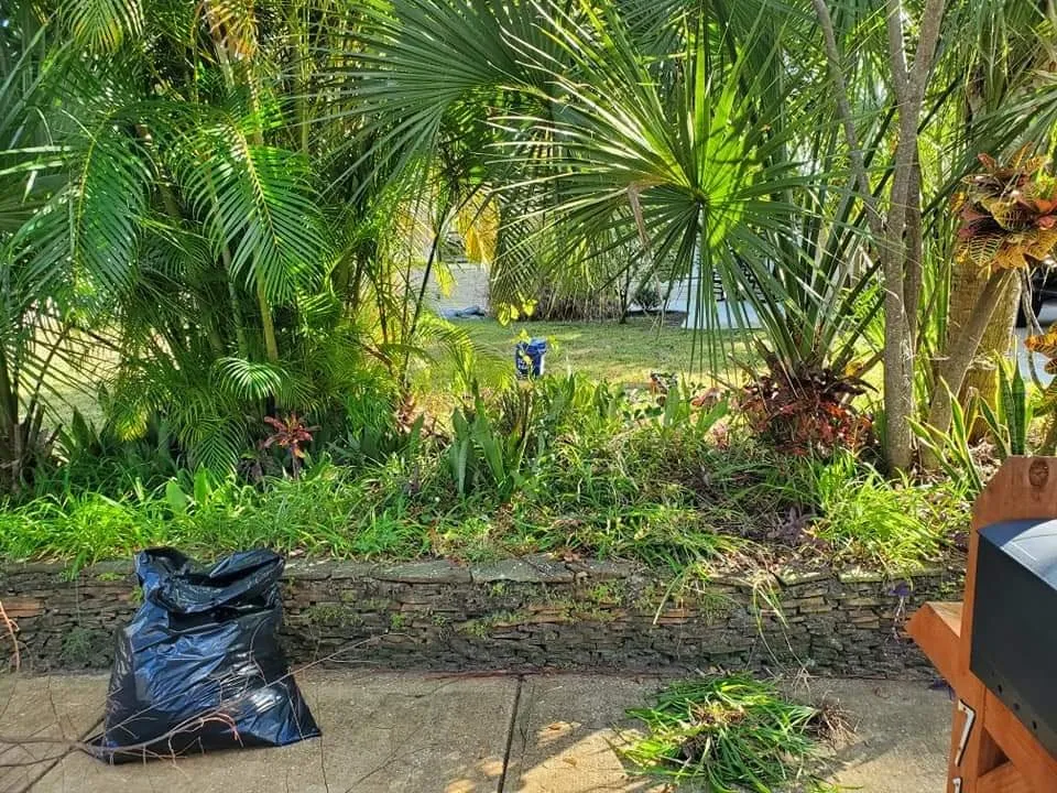 Affordable outdoor landscaping experts serving Holly Hill, FL - Bridges Landscaping