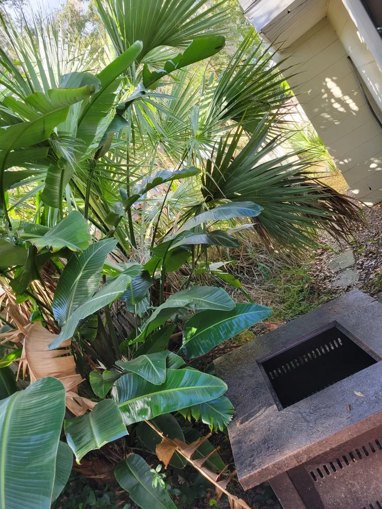 Expert landscaping services in Holly Hill, FL by Bridges Landscaping