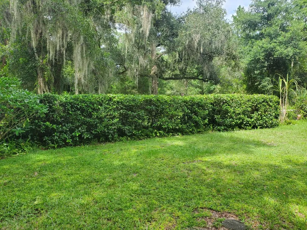 Expert garden landscaping for year-round maintenance in Holly Hill, FL by Bridges Landscaping