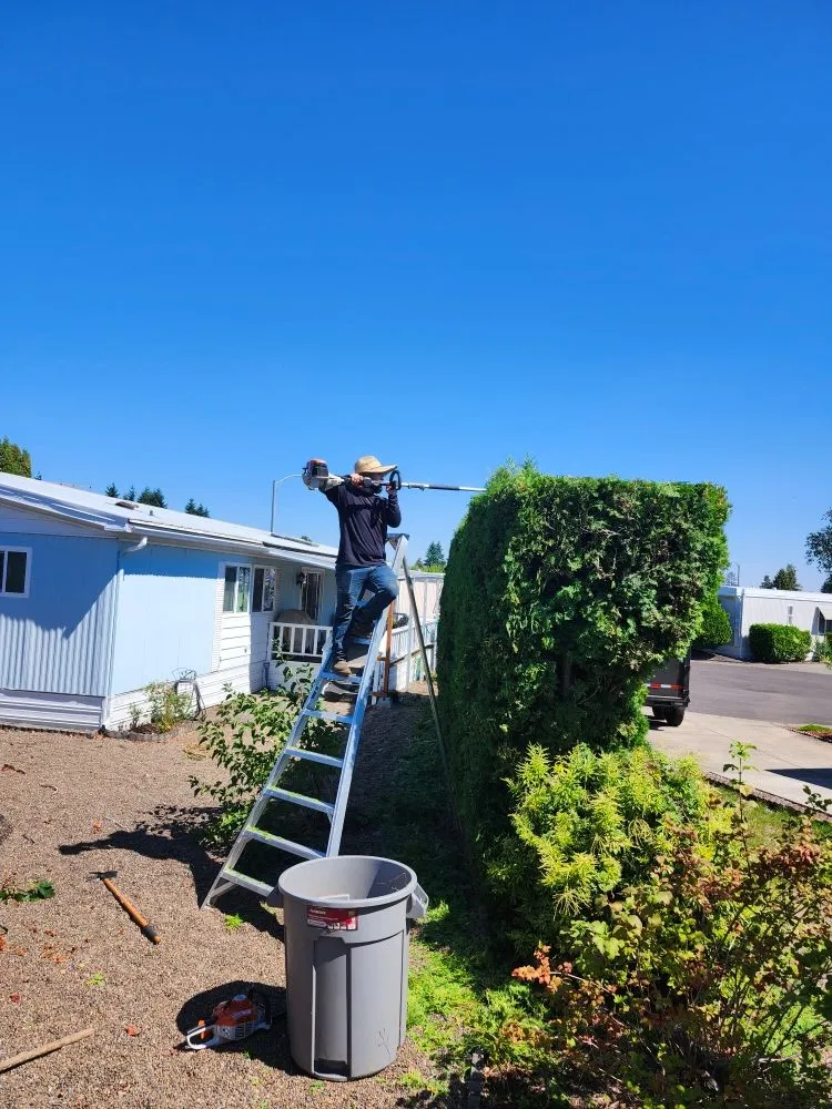 Trusted landscape design in Albany, OR - Bridges Lawn Services