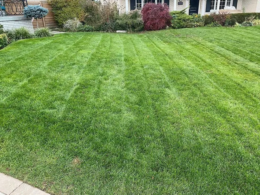 Local lawn care service experts serving Portland, OR - Bridgeton Lawn Care