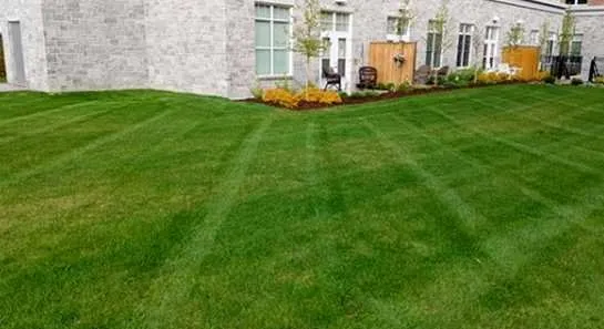 Top-rated lawn mowing service for outdoor upgrades in Portland, OR by Bridgeton Lawn Care