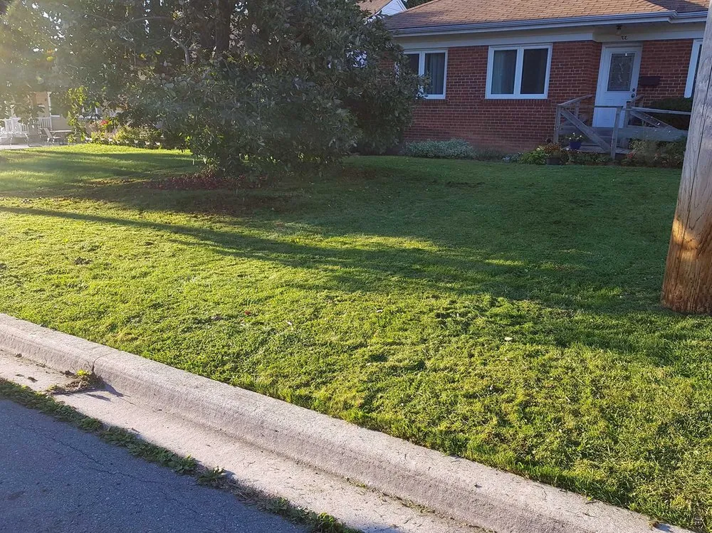 Custom landscape installation experts serving Portland, OR - Bridgeton Lawn Care