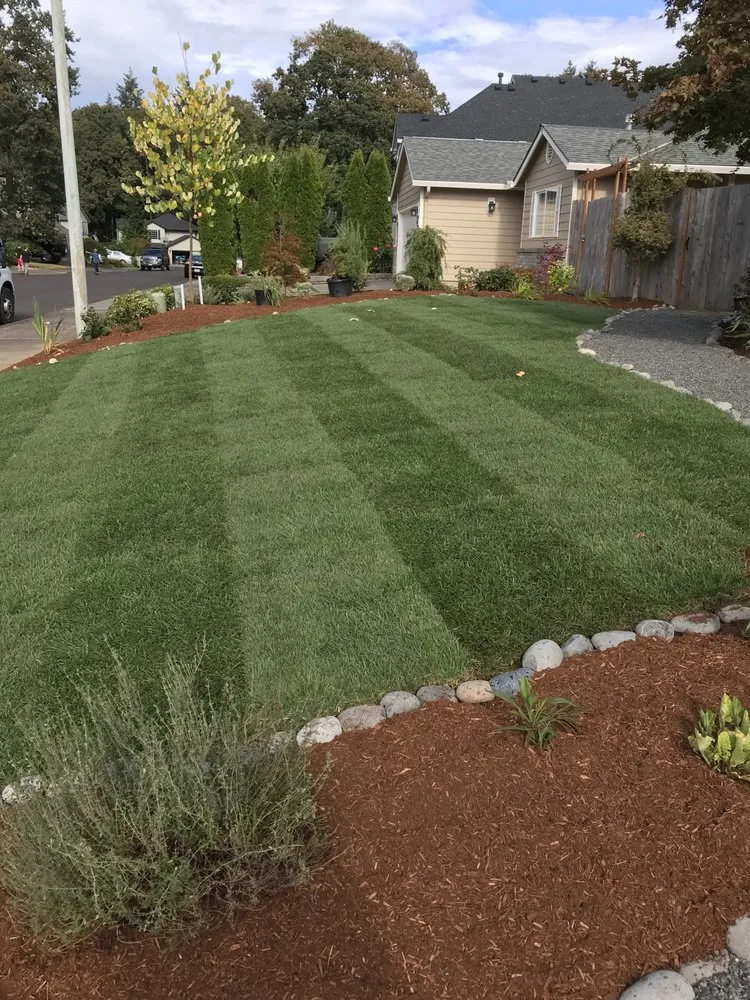 Custom yard cleanup service in Aloha, OR - Bridgetown Construction & Landscaping
