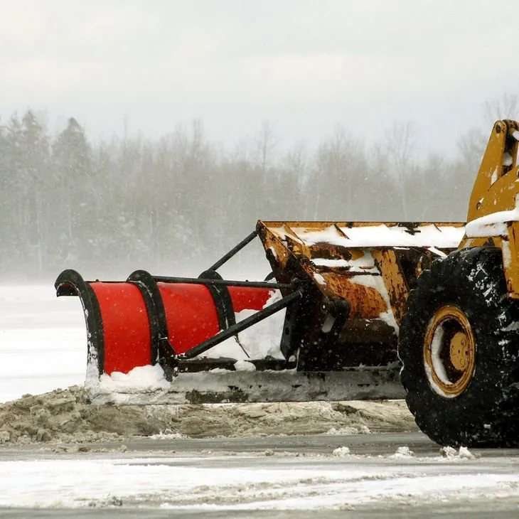 Professional landscaping services near you in Mount Prospect, IL by Bridgette’s Landscaping and Snow Removal