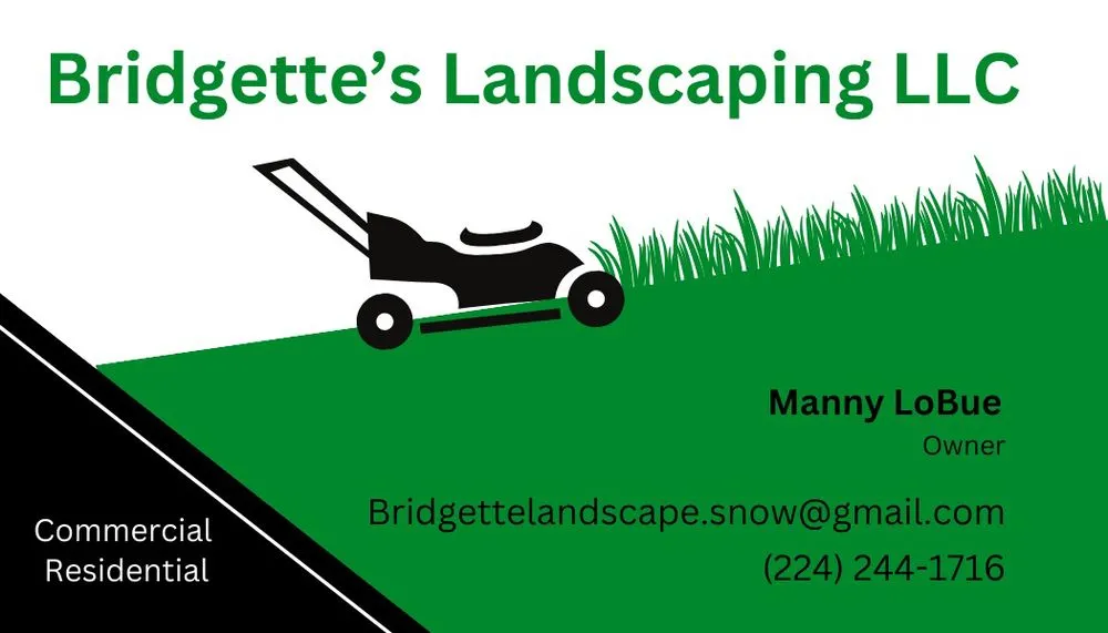 Reliable yard cleanup service experts serving Mount Prospect, IL - Bridgette’s Landscaping and Snow Removal