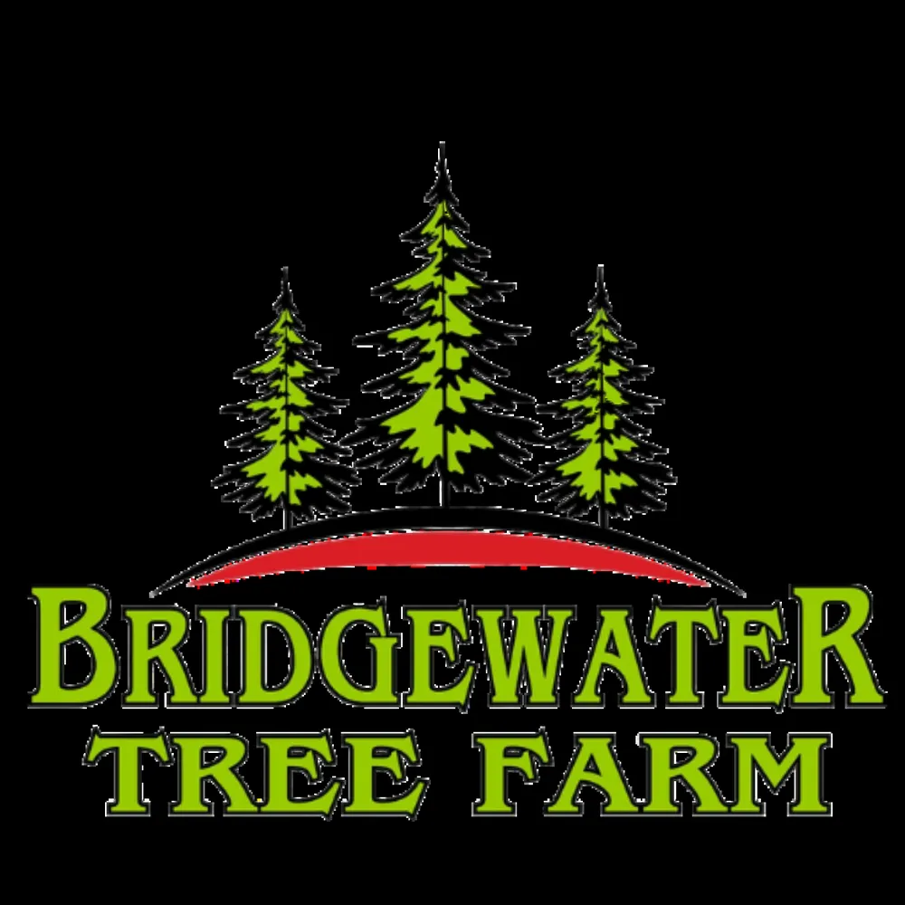 Custom yard maintenance experts serving Bridgewater, MA - Bridgewater Tree Farm