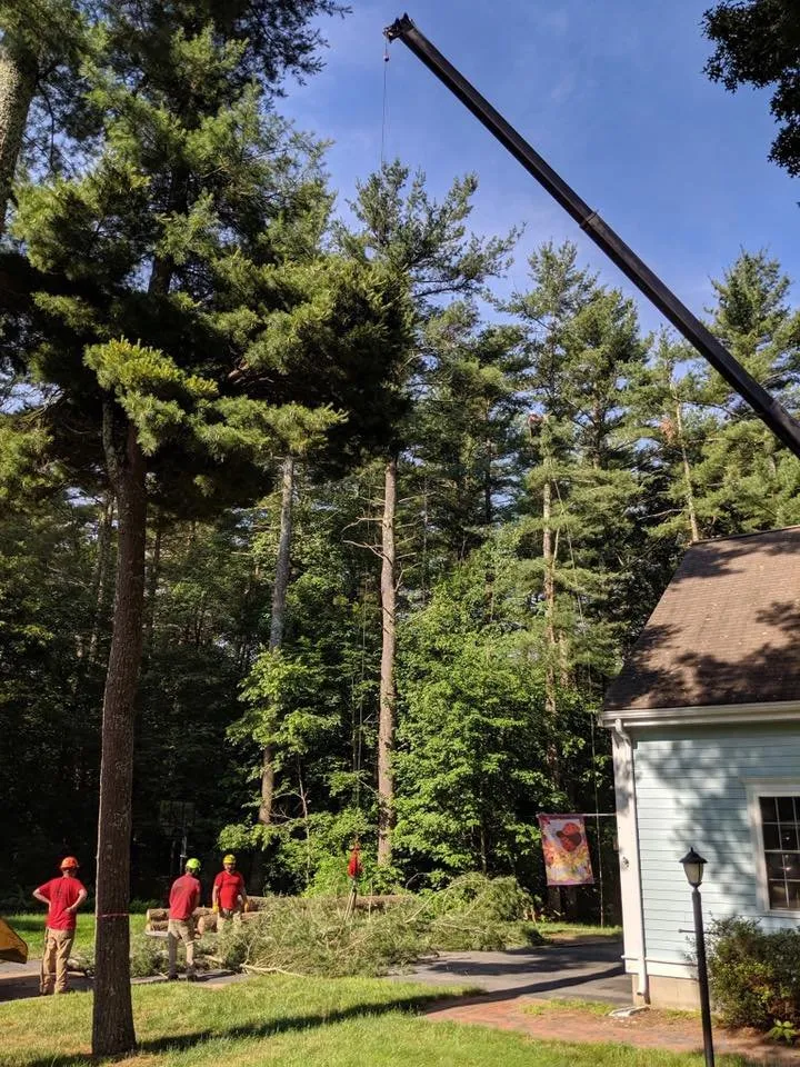 Trusted yard maintenance for outdoor upgrades in Bridgewater, MA by Bridgewater Tree Farm